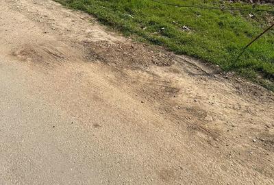Teren de 549 mp, în Berceni