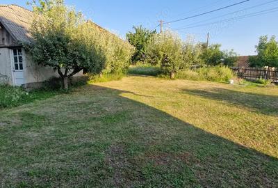 Casa de vanzare in Ciolt - 3