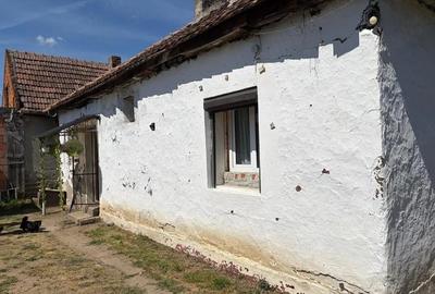 Casă cu 3 camere cu Teren 250 Mp în Zimandu Nou - 3
