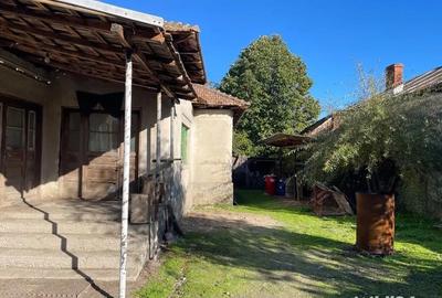 Casă cu 5 camere cu Teren 8000 Mp în Orlești - 2