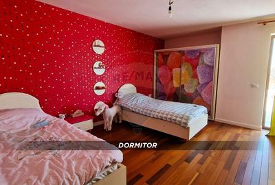 Casă cu 4 camere cu Teren 3657 Mp în Buzești - 27