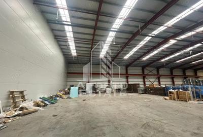 Spațiu comercial, de 600 mp, în Săcălaz - 3