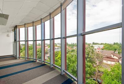 Bulevardul Cosbuc 116-118 - MaxFit - Birouri Premium - 14