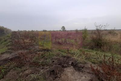 Teren Corbeanca in zona Cantonului aproape de A0 - 12