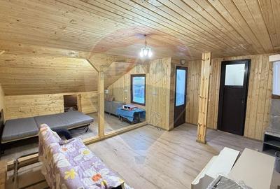 Casa / Vila cu 3 camere de inchiriat in zona Giurgiului - 10