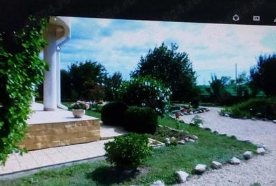 Vind vila pe malul marii Vind vila pe malul marii - 4