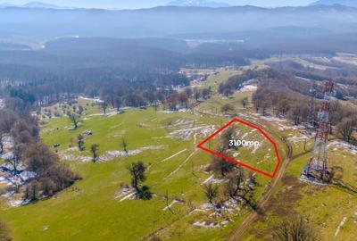 COMIISION 0% Teren cu vedere spectaculoasa - 3.100 mp Vladeni - 1