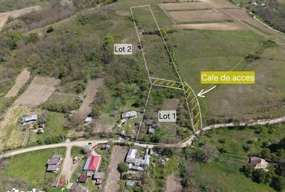 Casă cu 3 camere cu Teren 7391 Mp în Stănișești - 2