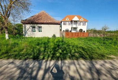 Casă cu Teren 1202 Mp în Ghilad - 4