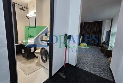 Apartament cu 2 camere semidecomandat, mobilat în Timocului-Șaguna - 11