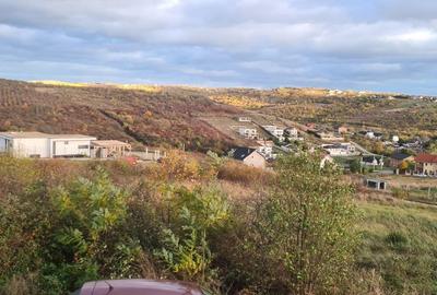 Casă cu 2 camere cu Teren 1500 Mp în Paleu - 3