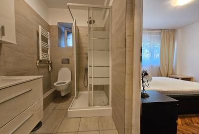 Apartament 3 camere Bd Carol / Cartierul Armenesc - 9