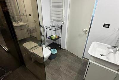 Apartament cu 2 camere semidecomandat, mobilat în Herăstrău - 9