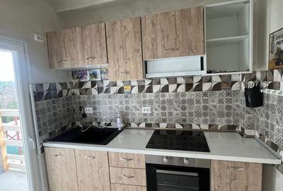 Garsonieră semidecomandată în Ciurea - 4