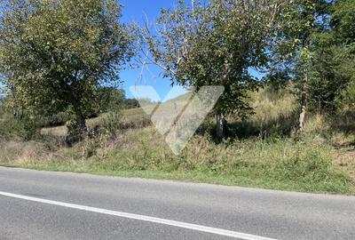 Teren intravilan cu PUZ aprobat 1300 mp - 17 km de Sibiu - 4