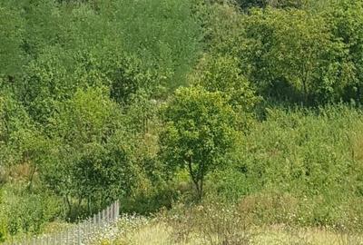 Teren de 4800 mp, în Parava - 3