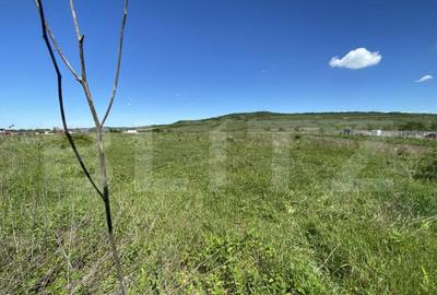 Teren Intravilan zona Industriala - 1