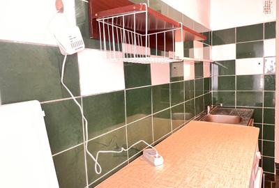 Garsonieră decomandată, mobilată în Timpuri Noi - 28