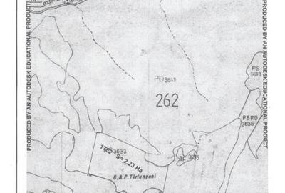 Teren _ 22300mp_brasov_tarlungeni_valea zizinului - 4