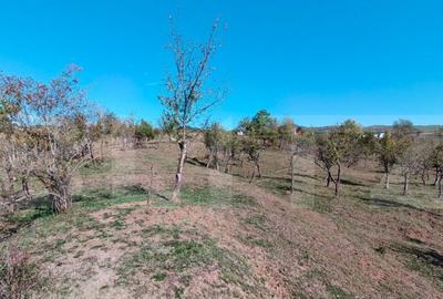 Teren extravilan cu priveli?te superba , livada ?i poten? - 5