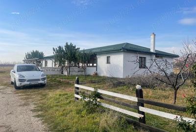 Teren de 370000 mp, în Pietroasele - 3