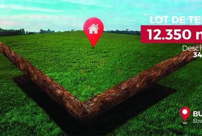 Teren 12350 mp, intravilan, amplasare de exceptie in Buftea, Ilfov - 1