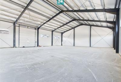 Spațiu industrial, de 440 mp, în Giarmata - 3