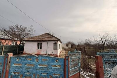 Casă cu 2 camere în Lacu - 6