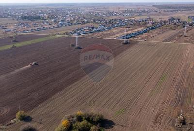 Teren Construcții intravilan de 7500 mp, în Săbăreni - 12