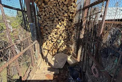 Casa spa?ioasa cu teren generos in Tecuci zona Balcescu - 10
