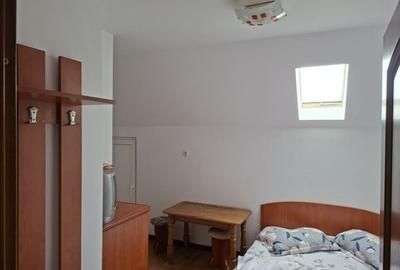 Casă individuală cu 10 camere cu Canalizare în Bercu Roșu - 5