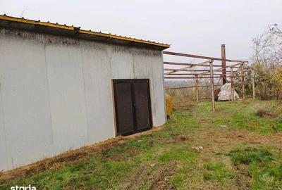 Casă cu 4 camere cu Teren 5300 Mp în Oancea