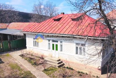 Casă individuală cu 3 camere cu Teren 7702 Mp în Bodești - 1