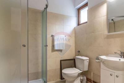 Spațiu comercial, de 719 mp, în Scrind-Frăsinet - 10