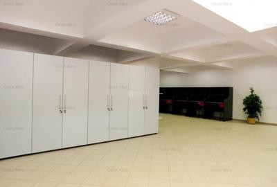 Spatiu de inchiriat, 809mp, amenajat, Tatarasi Sud - 5