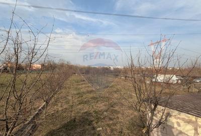 Teren agricol intravilan de 2500 mp, în Nicolae Grigorescu - 2