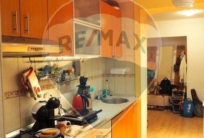 Apartament cu 3 camere decomandat, mobilat în Baba Novac - 9