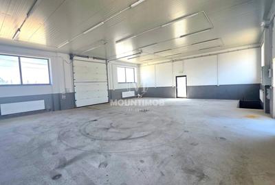 Spațiu industrial, de 150 mp, în Exterior Nord - 6