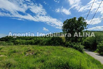 Teren de 4870 mp, în Vulcan - 2