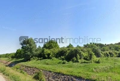 Teren de 12831 mp, în Vest - 1