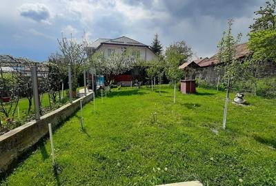 Casa moderna, foarte spatioasa, cu  1500 mp teren, în  Dambul Rotund - 2