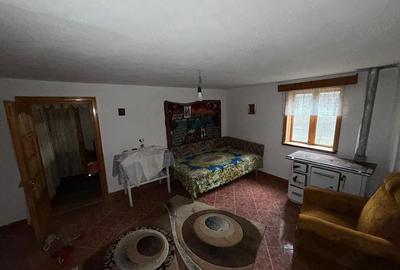 Casă cu 4 camere cu Teren 3100 Mp în Câmpuri - 3