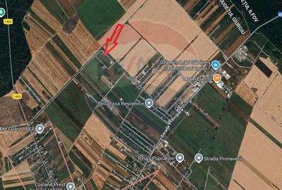 Teren lotizat 4,650mp Sabareni / Strada Cereanca - 1