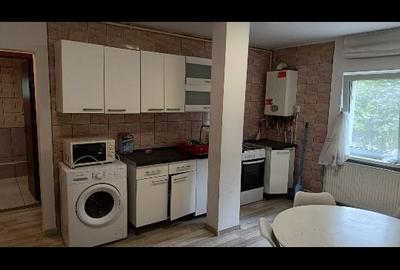 Apartament cu 2 camere decomandat în Dosu Bricii - 2