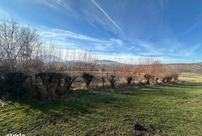 Spațiu comercial, în Rășinari - 3