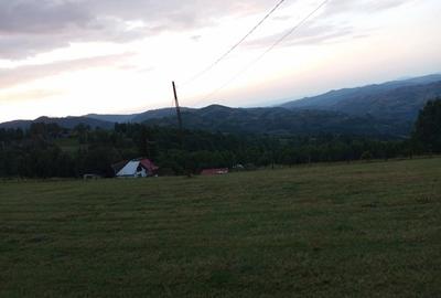 Teren în Poiana Mărului - 6
