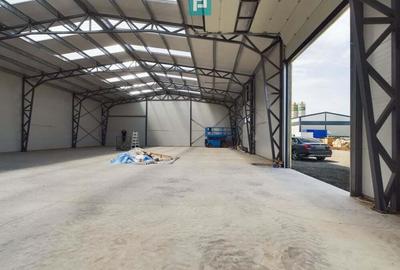 Hala noua in zona industriala Giarmata - 4