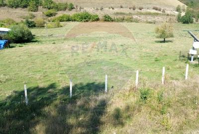 Teren de 4448 mp, în Târnava - 4