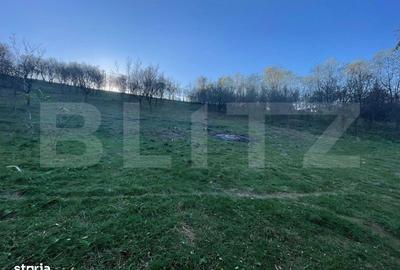 Spațiu comercial, în Oarda