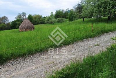 Teren 37.5 ari intravilan - 3